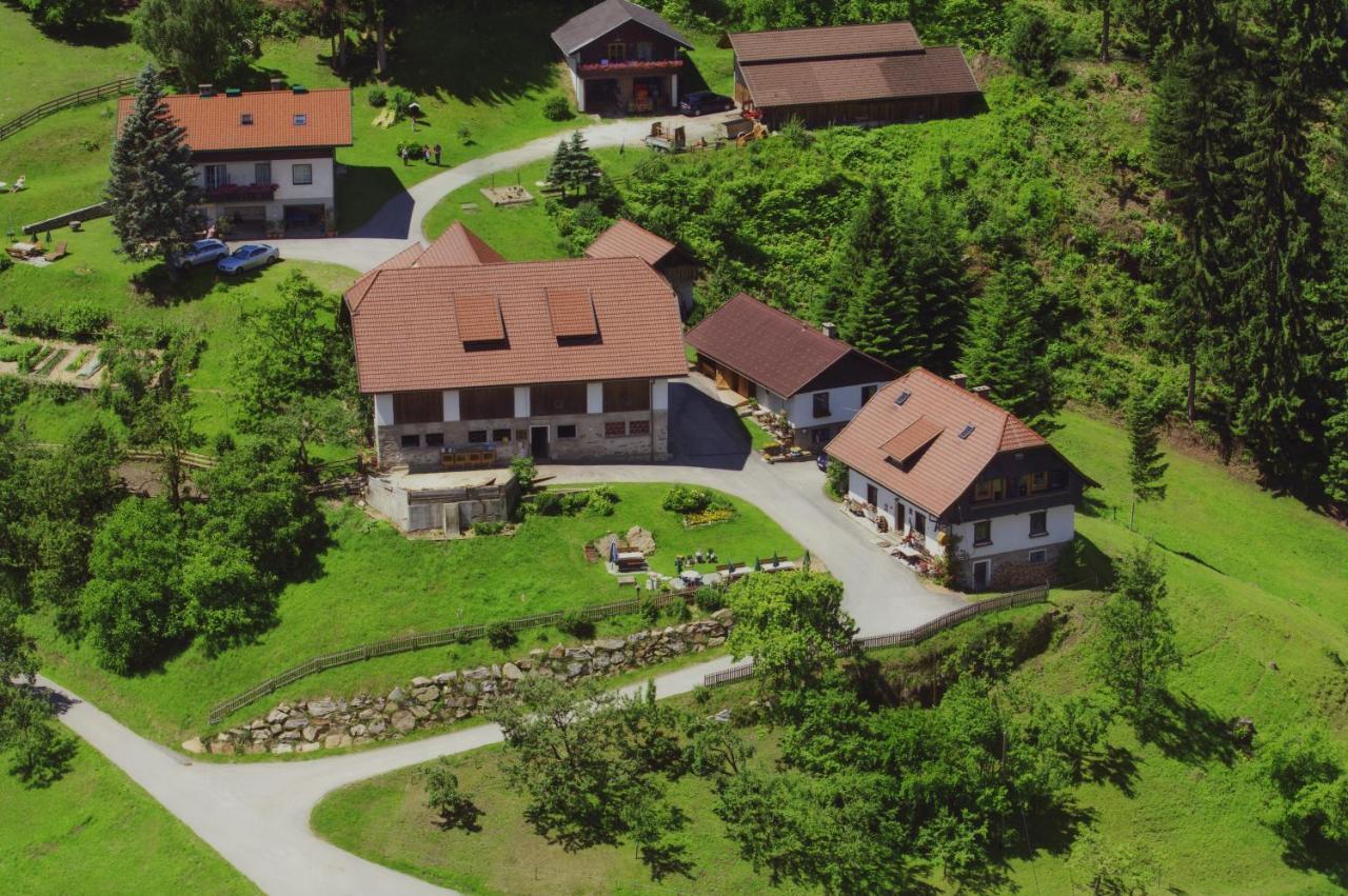 Gaestehaus Berger - Priglhof Треффен Екстер'єр фото