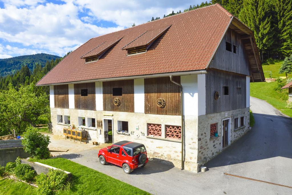 Gaestehaus Berger - Priglhof Треффен Екстер'єр фото